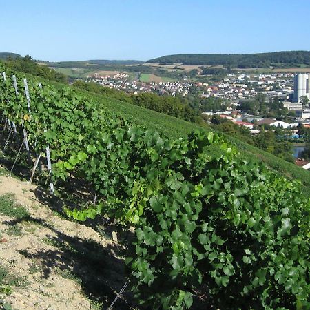 Weinstube Schwalbennest Hotel Karlstadt Eksteriør billede