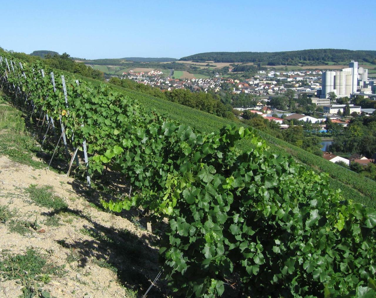 Weinstube Schwalbennest Hotel Karlstadt Eksteriør billede