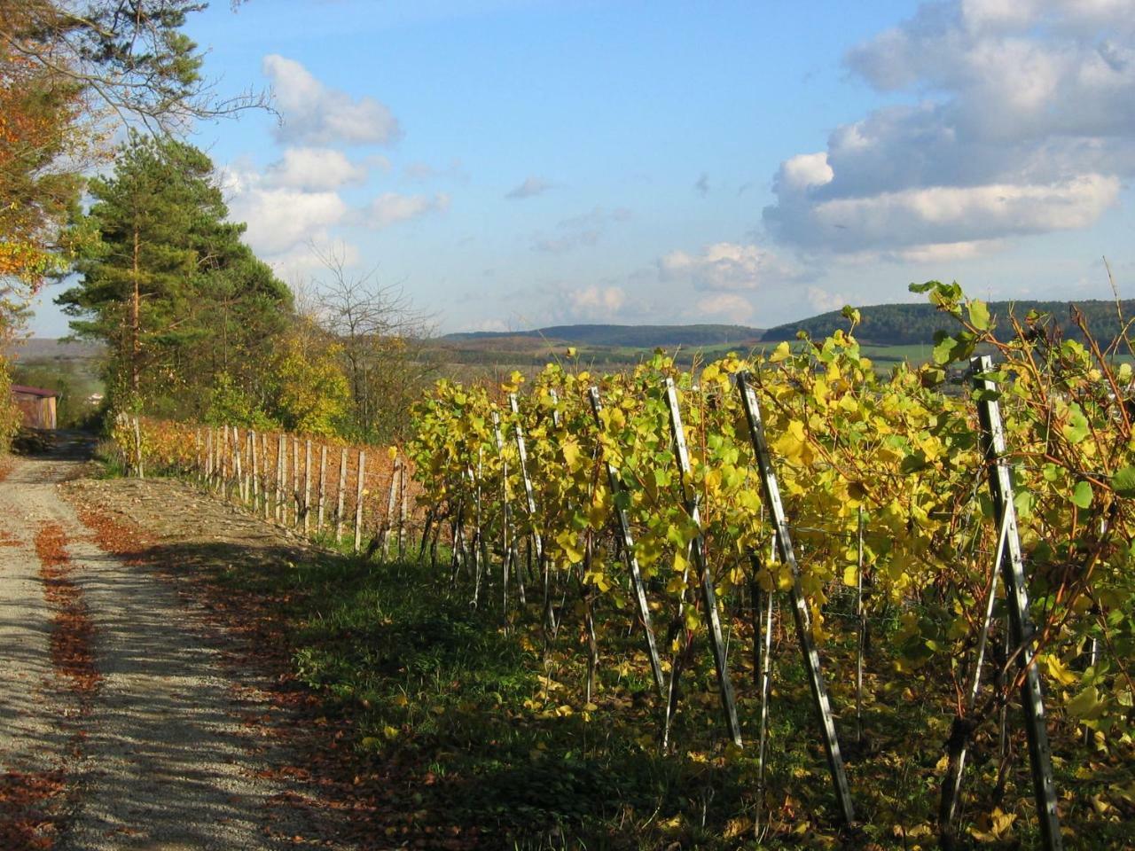 Weinstube Schwalbennest Hotel Karlstadt Eksteriør billede